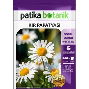 Patika Botanik 100 Adet Kır Papatyası Tohumu