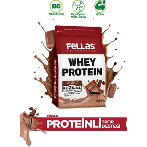 Whey Protein Tozu Çikolata Aromalı 525g
