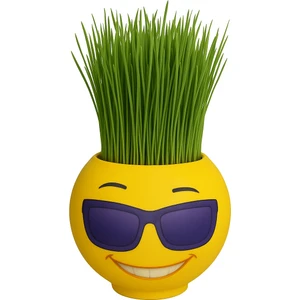 9050 Çim Adam Mini 33 Güneş Gözlüklü