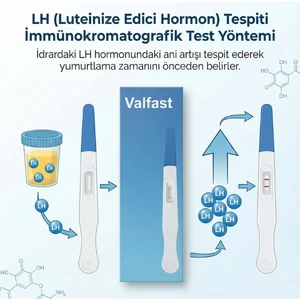 Ovulasyon Testi 1 Kutu 5 Adet