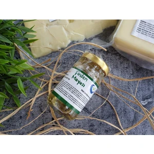 Elif Candar Şirden Maya 65 Gr.