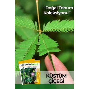 Patika Botanik 50 Adet Küstüm Çiçeği Tohumu