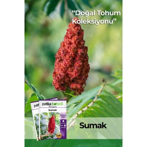 Patika Botanik 20 Adet Sumak Tohumu