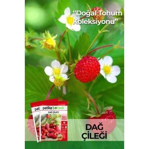 Patika Botanik 100 Adet Dağ Çileği Tohumu