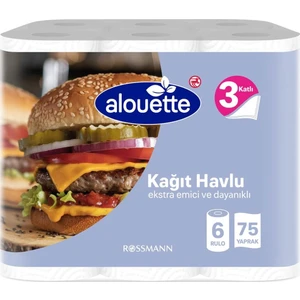 Kağıt Havlu 6'lı 3 Katlı