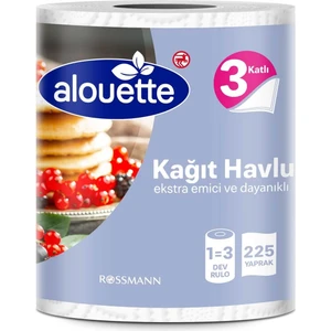 Dev Kağıt Havlu 1=3 3 Katlı