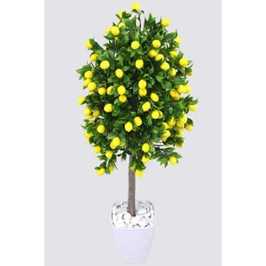 Tüplü Yediveren Limon Ağacı Fidanı