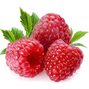 2 Yaş Ahududu Fidanı, Torbada