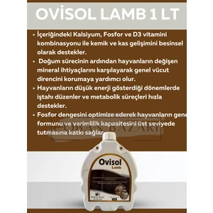 Royal İlaç Ovisol Lamb 1 Lt