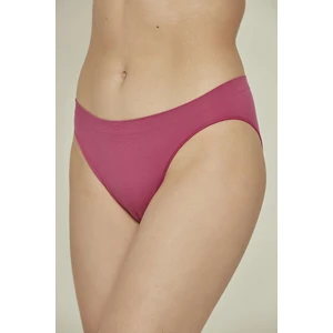 C13001 Dikişsiz Slip Külot Mürdüm