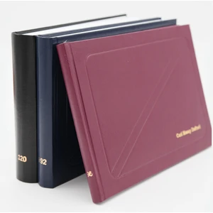 Cari Hesap Defteri Dik 17X24 96 Yp