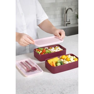 2 Kat Yemek Saklama Kabı Beslenme Kutusu Seti - Sporcu Diyet Öğrenci Fitness Okul Işyeri Sefer Tası