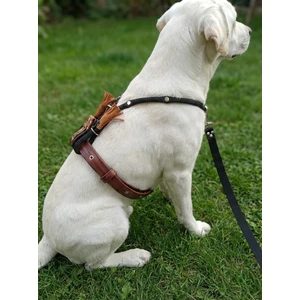 Köpek Göğüs Tasması Büyük Irk Ayarlamalı Ön, Arka Çekişli Halat & Deri Kahverengi