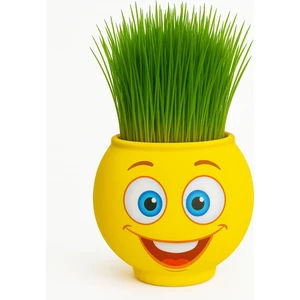 9050 Çim Adam Mini 26 Haylaz