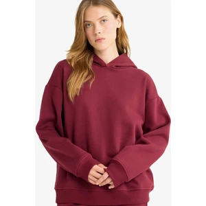 Relax Fit Kapüşonlu Basic Düz Kalın Sweatshirt D9935AX25WN
