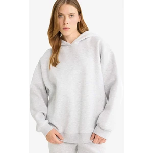 Relax Fit Kapüşonlu Basic Düz Kalın Sweatshirt D9935AX25WN