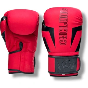 Profesyonel Boks Eldiveni Mat