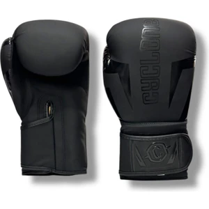 Profesyonel Boks Eldiveni Mat