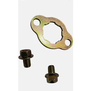 Topuz Motor Cup Sfc Ön Dişli  Vidası ve pul Seti