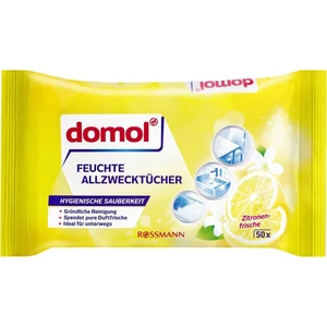 Çok Amaçlı Islak Temizlik Bezi 50'li Limon Kokulu Lif Malzemeden Ev ve Ofis Kullanımına Uygun