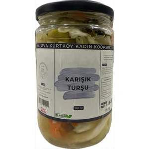 Kurtköy Kadın Kooperatifi KARIŞIK TURŞU