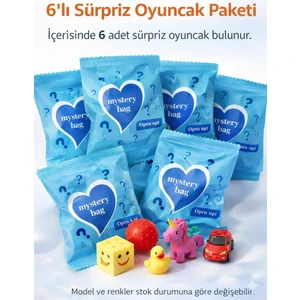 Bodrum Asel  mini 6’lı Sürpriz Oyuncak Paketi
