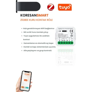 Zigbee Kuru Kontak Röle