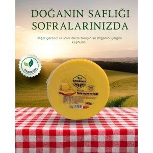 Taze Kaşar Peynir Göbek