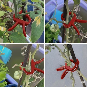 Dme Flora Bitki Bağlama Destek Mandalı 10 Adet Orta Boy