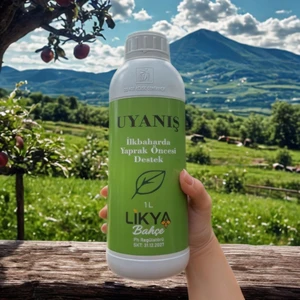 Uyanış Ağaç Besini