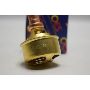 Renault 12 Termostat 75 Derece Oes