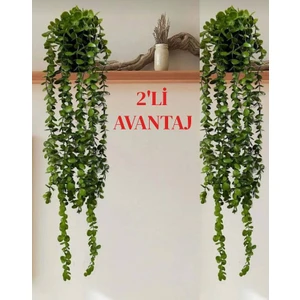2'li Yapay Yeşil Sarkıt Bitki Çiçek Okaliptus