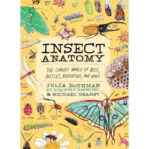 Storey Publishing Insect Anatomy