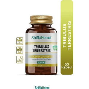 Shiffa Home Tribulus Terrestris Çoban Çökerten 60 Kapsül