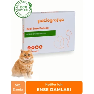Patiografya Kedi Dış Parazit
