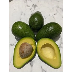 Avokado 2 kg Orta Boy-Taze Hasat