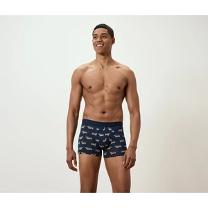 Erkek Slip Boxer, 2li, Köpek