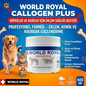 World Royal • Köpekler Için Callogen Plus • 400GR
