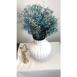 Cipso Çiçeği  Şoklanmış  Lacivert