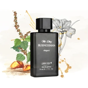 Mr. Okay Businessman Elegant 50 ml