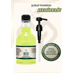 Gold Gull Cool Lime Konsantre Şurup 300 ml