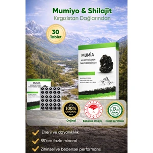 Tablet 30'lu (1 Adet) shilajit