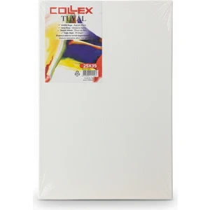 Resim Tuval 25CM X35 cm