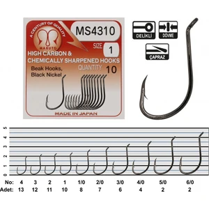 MS4310 Bn Iğne No:4 (13AD)