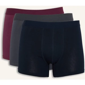 Regular Fit 3'lü Boxer E0023AX26SP