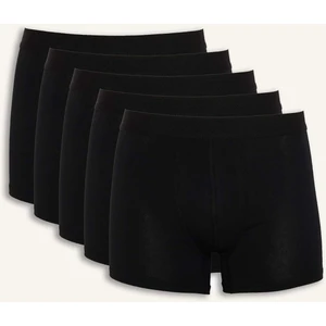 Regular Fit 5'li Boxer E7204AX26SP