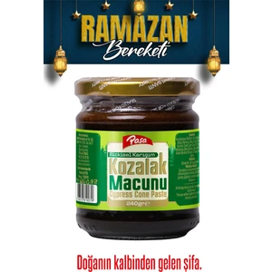Paşa Kuruyemiş Kozalak Macunu 240 gr