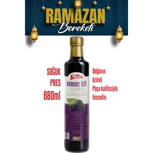 Paşa Kuruyemiş Karadut Özü 680 gr