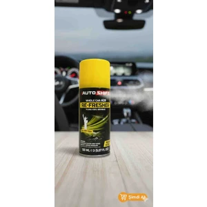 150 ml Araç Klima Bombası