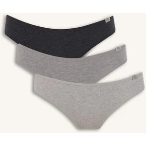 Ribana 3’lü Brief Külot D6404AX26SP